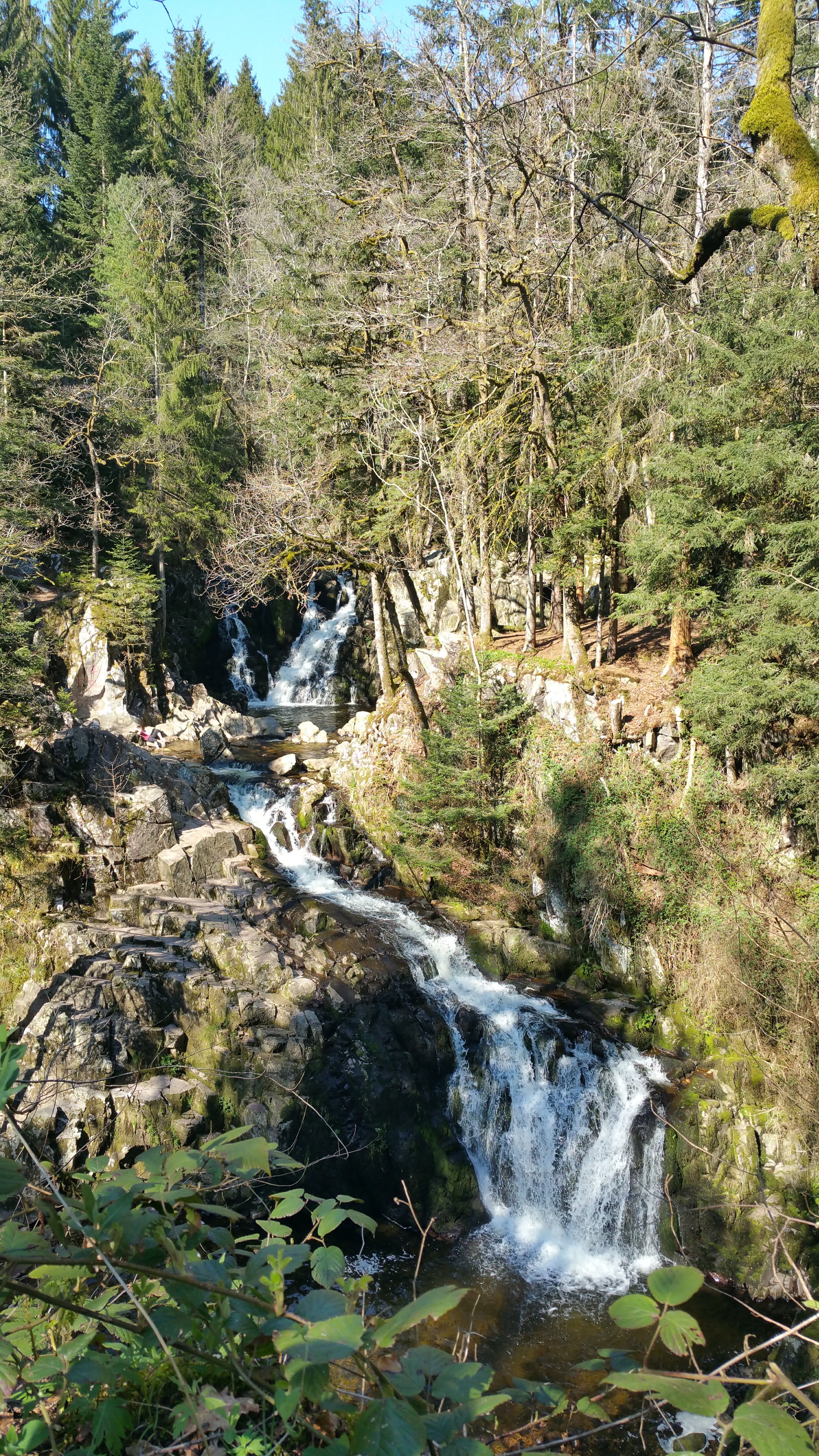 Photo n° 3 de l'avis de Marie. fait le 21/04/2019 à 23:11