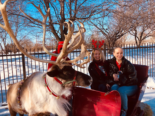 Auto Insurance Agency «State Farm: Sharlene Downs», reviews and photos