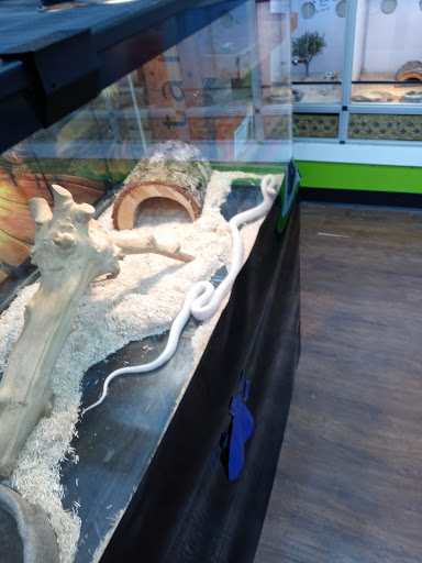 Pet Store «Pets Plus - Quakertown», reviews and photos, 117 S West End Blvd, Quakertown, PA 18951, USA