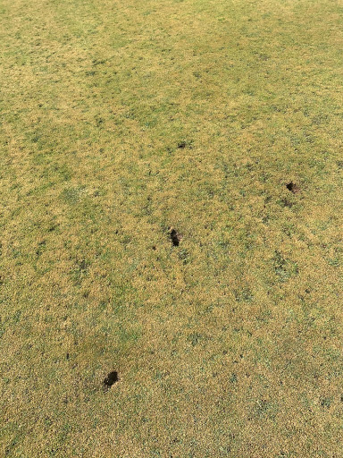 Country Club «Old Orchard Country Club», reviews and photos, 54 Monmouth Rd, Eatontown, NJ 07724, USA