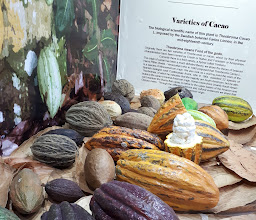 Kakaw Museo del Cacao y Chocolateria Cultural photo
