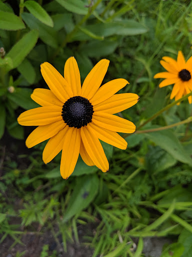 Park «Obear Park», reviews and photos, 145 Livingstone Ave, Beverly, MA 01915, USA