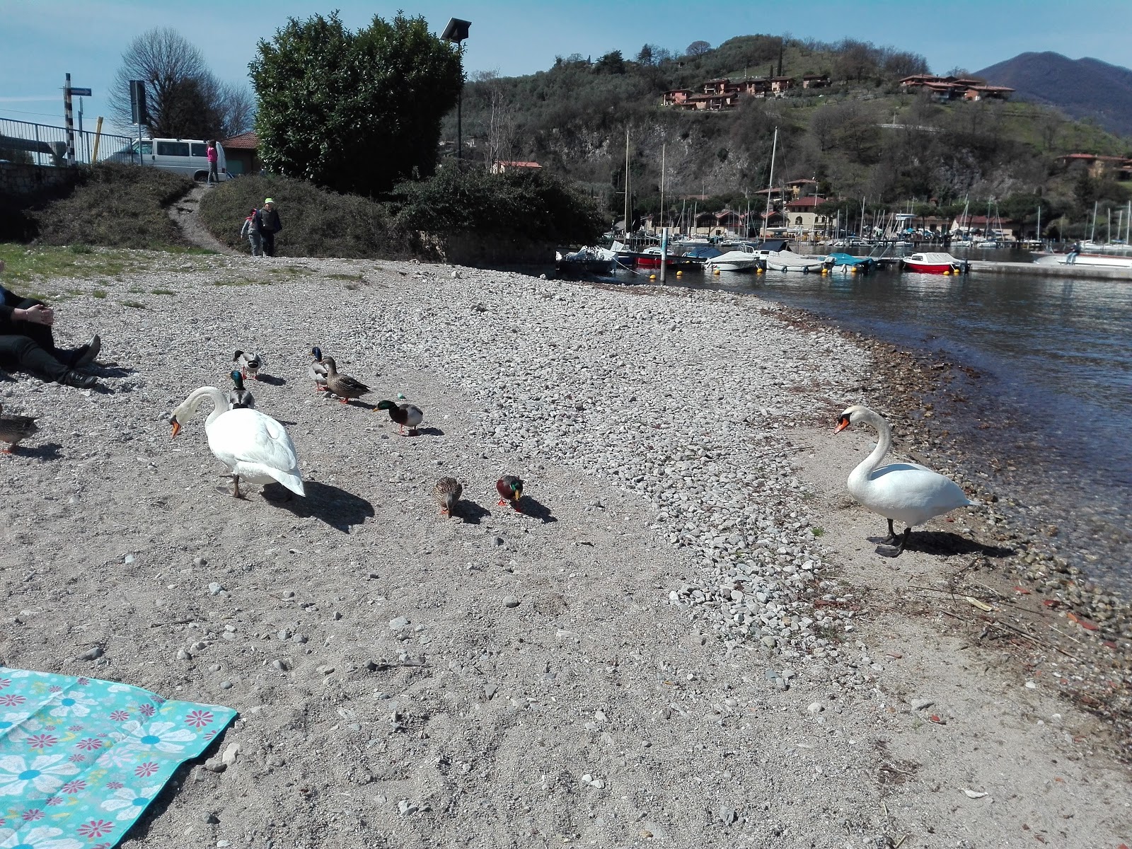 Φωτογραφία του Spiaggia Sulzano και το όμορφο τοπίο του