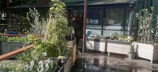 The Diggers Club Garden Shop - Adelaide