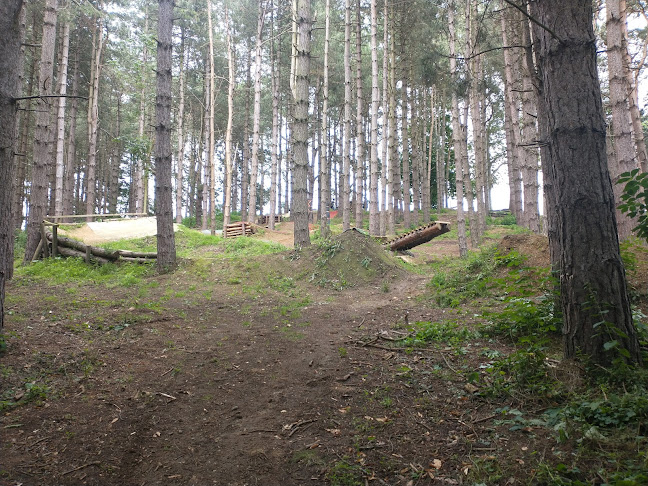 Twisted Oaks Bike Park and Trails - Ipswich