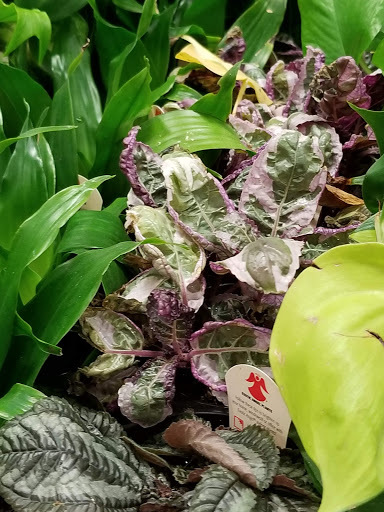 Home Improvement Store «The Home Depot», reviews and photos, 300 Clarks Pond Pkwy, South Portland, ME 04106, USA