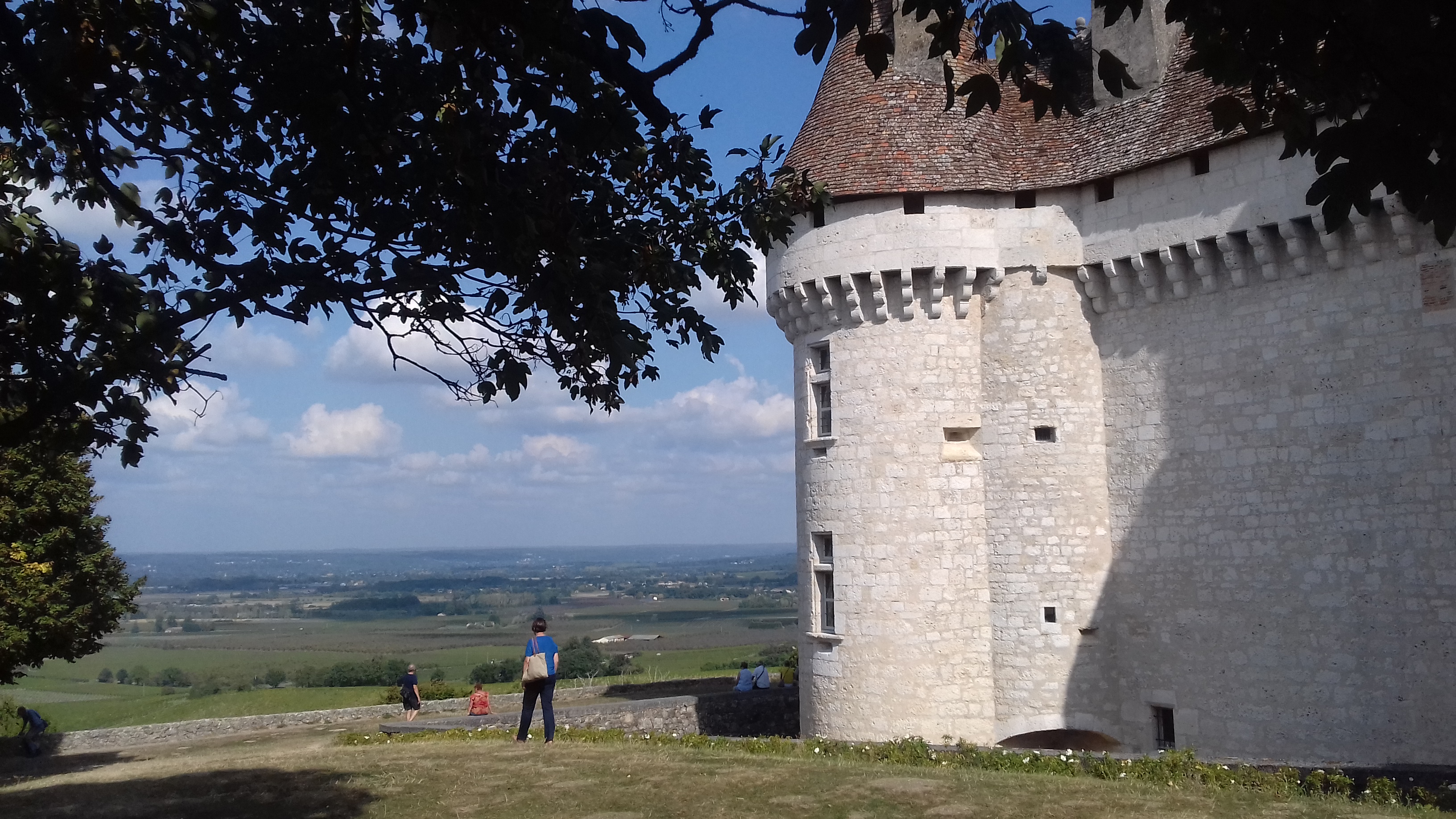 Photo n° 1 de l'avis de Gerard.a fait le 19/09/2018 à 17:02