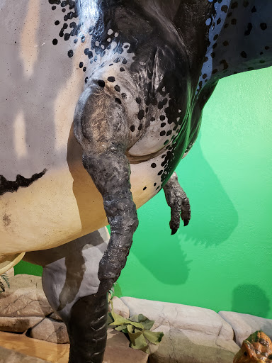 Tourist Attraction «Arizona Museum of Natural History», reviews and photos, 53 N Macdonald, Mesa, AZ 85201, USA