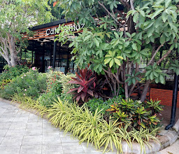 Cafe AMAZON photo