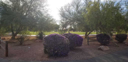 Park «W. Wayne Bunker Family Park», reviews and photos, 7351 W Alexander Rd, Las Vegas, NV 89129, USA