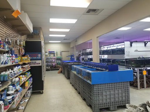 Aquarium Shop «Aquarium Arts», reviews and photos, 1810 W Baseline Rd #1, Mesa, AZ 85202, USA