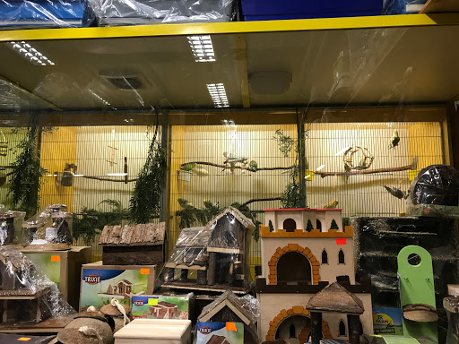 Zoo-Hobby unter Dresden, 