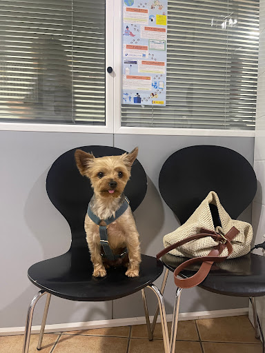 Clínica Veterinaria Alacant en Alicante