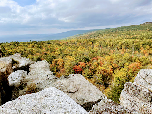 Nature Preserve «Minnewaska State Park Preserve», reviews and photos, 5281 Route 44-55, Kerhonkson, NY 12446, USA