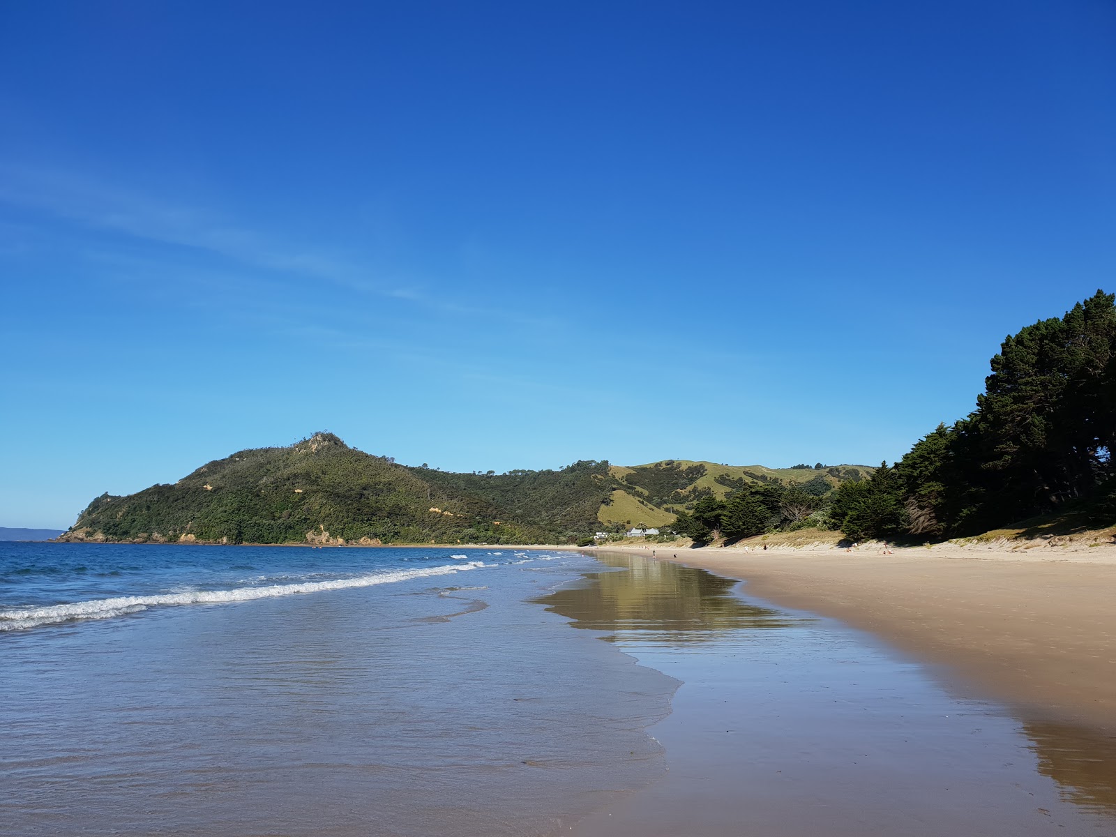 Kuaotunu Beach的照片 带有碧绿色纯水表面