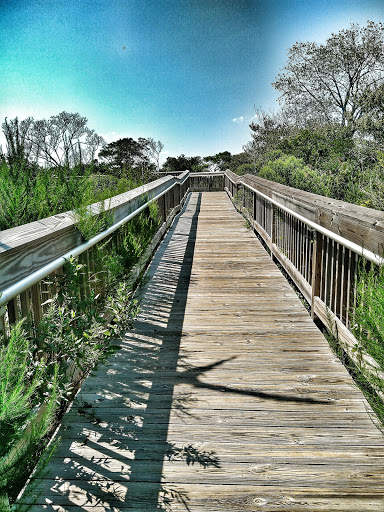 National Park «Assateague Island National Seashore», reviews and photos, 7206 National Seashore Ln, Berlin, MD 21811, USA