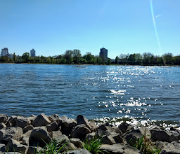 Hundewiese photo