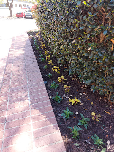 Museum «International Bowling Museum & Hall of Fame», reviews and photos, 621 Six Flags Dr, Arlington, TX 76011, USA