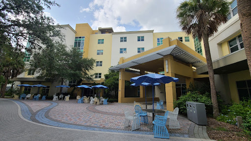 Art School «Ringling College of Art and Design», reviews and photos