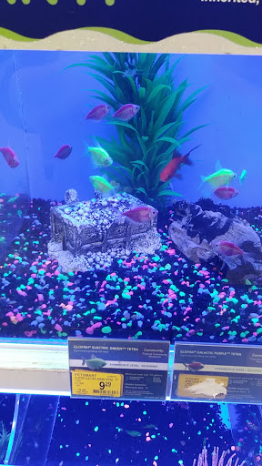 Pet Supply Store «PetSmart», reviews and photos, 6060 Long Prairie Rd, Flower Mound, TX 75028, USA