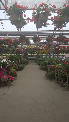 Strader's Garden Center