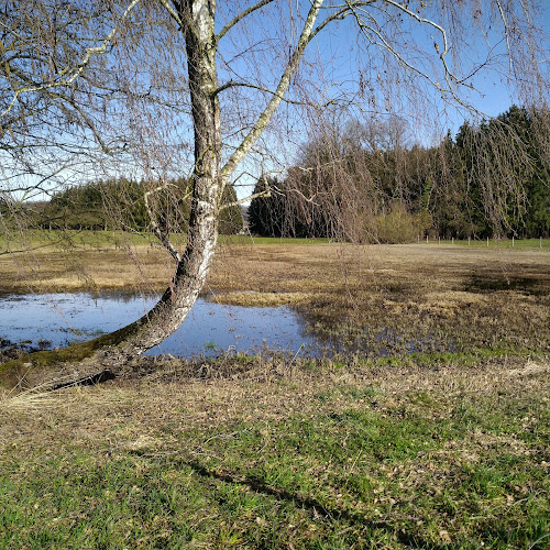 Oberhueb 483, 9525 Niederhelfenschwil, Schweiz