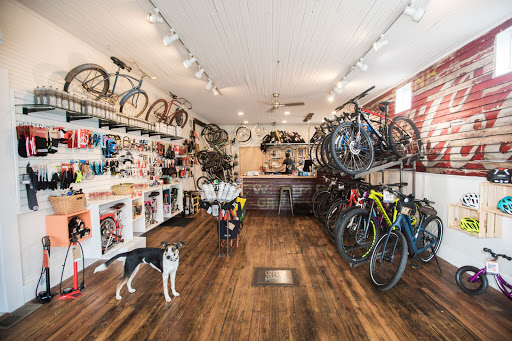 Shelby Ave. Bicycle Co.