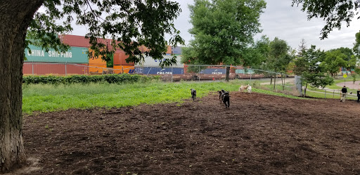 Dog Park «St. Anthony Parkway Off-Lease Dog Park», reviews and photos, 700 St Anthony Pkwy, Minneapolis, MN 55418, USA