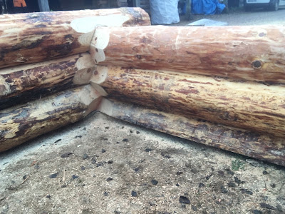 Fustier à La Neuville-du-Bosc