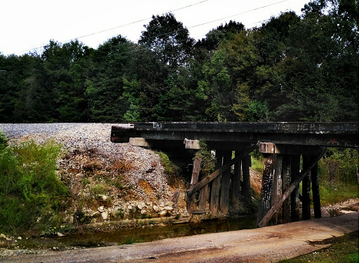Nature Preserve «Frenchtown Rd Conservation Area», reviews and photos, 17819 Frenchtown Rd, Central, LA 70739, USA