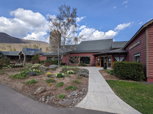 Tourist Attraction «Emerson Kaleidoscope», reviews and photos, 5340 NY-28, Mt Tremper, NY 12457, USA