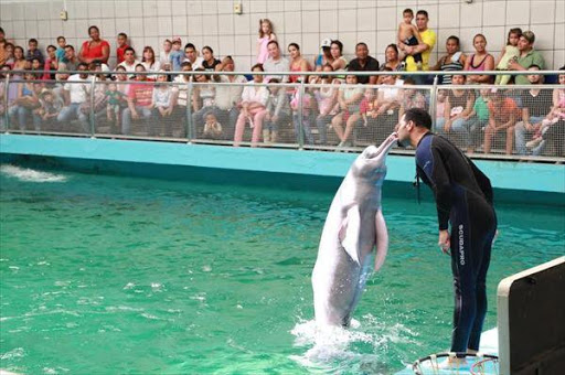 Valencia's Aquarium