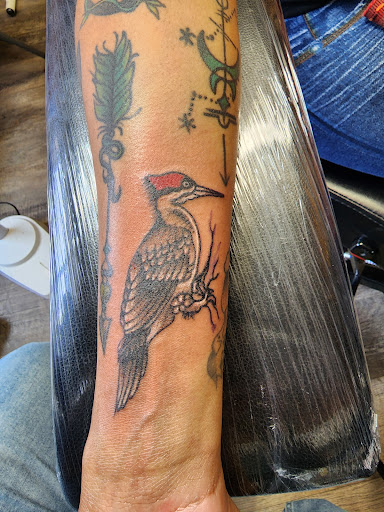 Explore forearm tattoo ideas girl, creative tattoo ideas in Charlottesville, available at ScottyrocksTwisted Inks