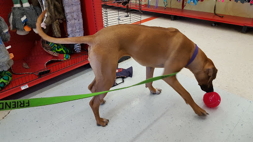 Pet Supply Store «Petco Animal Supplies», reviews and photos, 1049 S Willow St, Manchester, NH 03103, USA