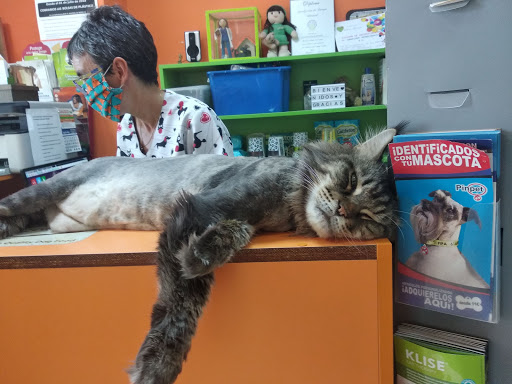 Centro Veterinario Serramar en La Cala del Moral