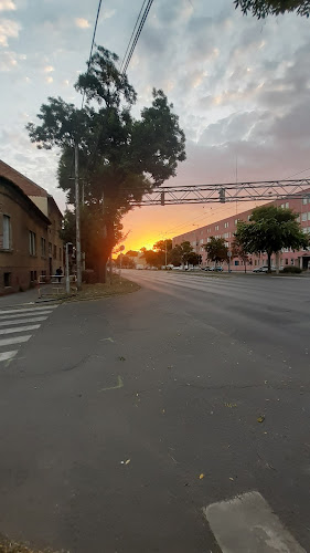Szegedi Madách Imre Magyar-Angol Két Tanítási Nyelvű Általános Iskola - Szeged