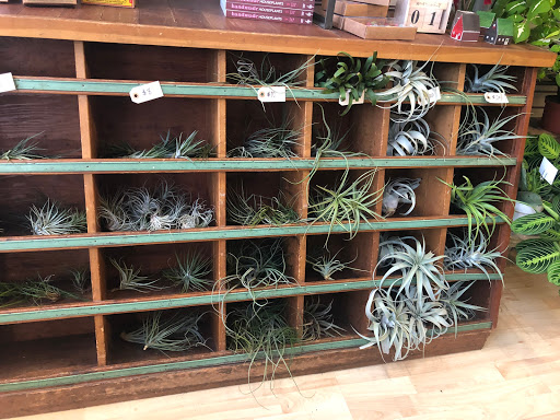 Florist «Columbia City Bouquet», reviews and photos, 4873 Rainier Ave S, Seattle, WA 98118, USA