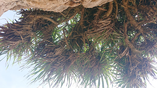 Top 20 cửa hàng 2guys1box Huyện Vĩnh Linh Quảng Trị 2022