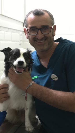 Consultorio Veterinario Ivet Posada de Llanes en Posada