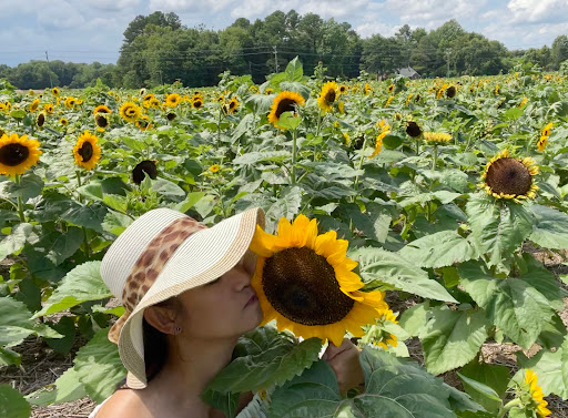 Fruit and Vegetable Store «Henley Farm», reviews and photos, 3513 Charity Neck Rd, Virginia Beach, VA 23456, USA