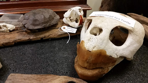 Natural History Museum «Natural History Society of Maryland», reviews and photos, 6908 Belair Rd, Baltimore, MD 21206, USA