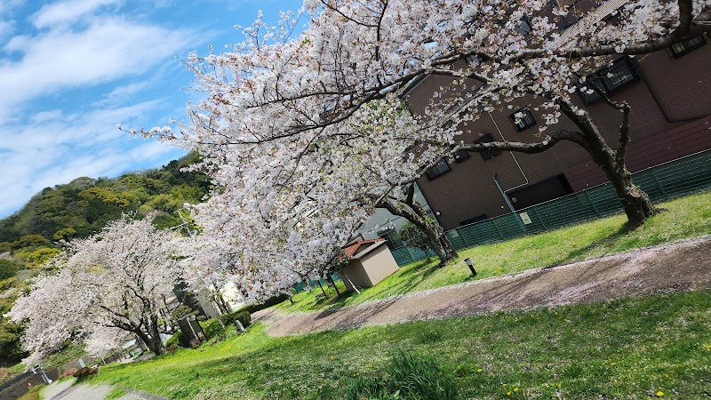 薩摩緑地 桜並木