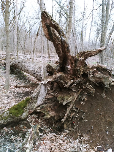 Golf Course «Woodruff Golf Course», reviews and photos, 621 Gougar Rd, Joliet, IL 60432, USA