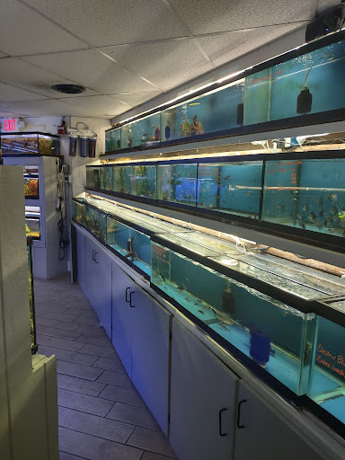 Pet Store «Fish Bowl Aquarium & Pet Mart», reviews and photos, 725 Providence St, West Warwick, RI 02893, USA