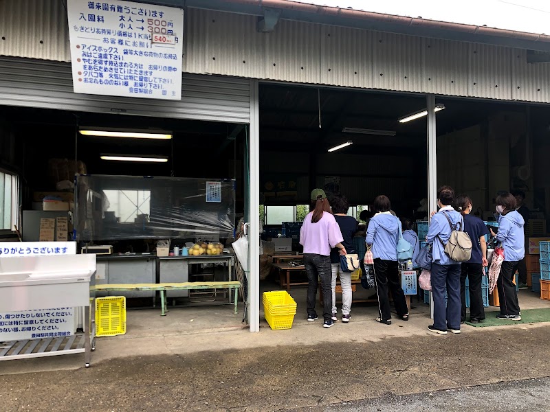 阪田農園販売所