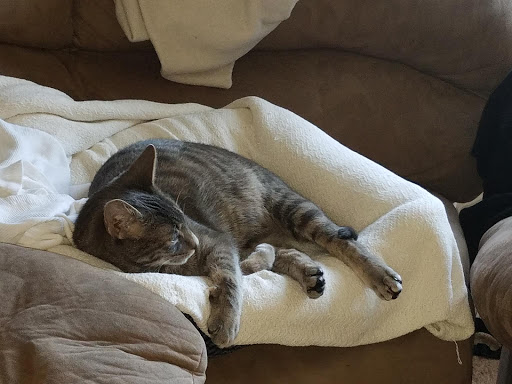 3000 Philadelphia Ave, Chambersburg, PA 17201, USA