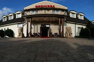 Restauracja Orchidea-R image