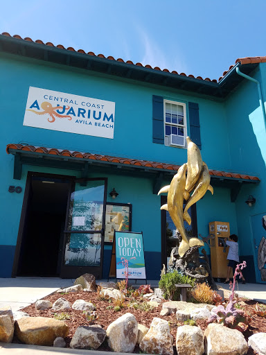 Aquarium «Central Coast Aquarium», reviews and photos, 50 San Juan St, Avila Beach, CA 93424, USA