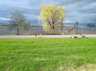 Remic Rapids Park