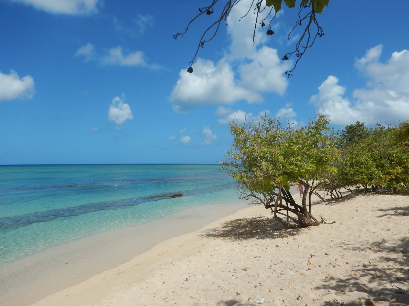 Plage Du Souffleur photo #9